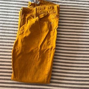 Yellow cords